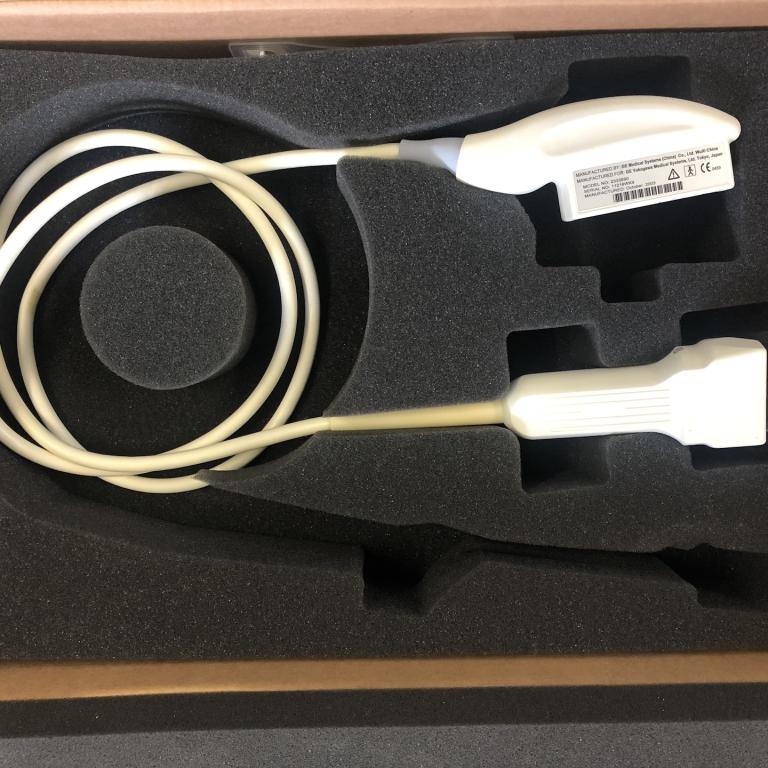 GE 10LB-RS Ultraschallsonde